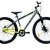Ralph Non Gear Bicycle 24T | Buy Single Speed Cycle for Men